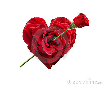 heart-shaped-rose-10107614